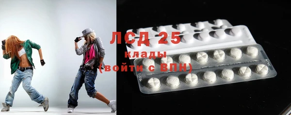 крисы Липки