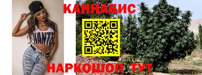 сатива Заводоуковск