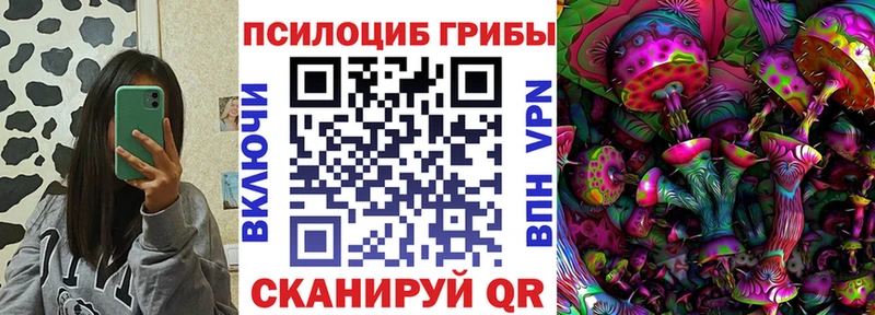 продажа наркотиков  Минусинск  Псилоцибиновые грибы мухоморы 