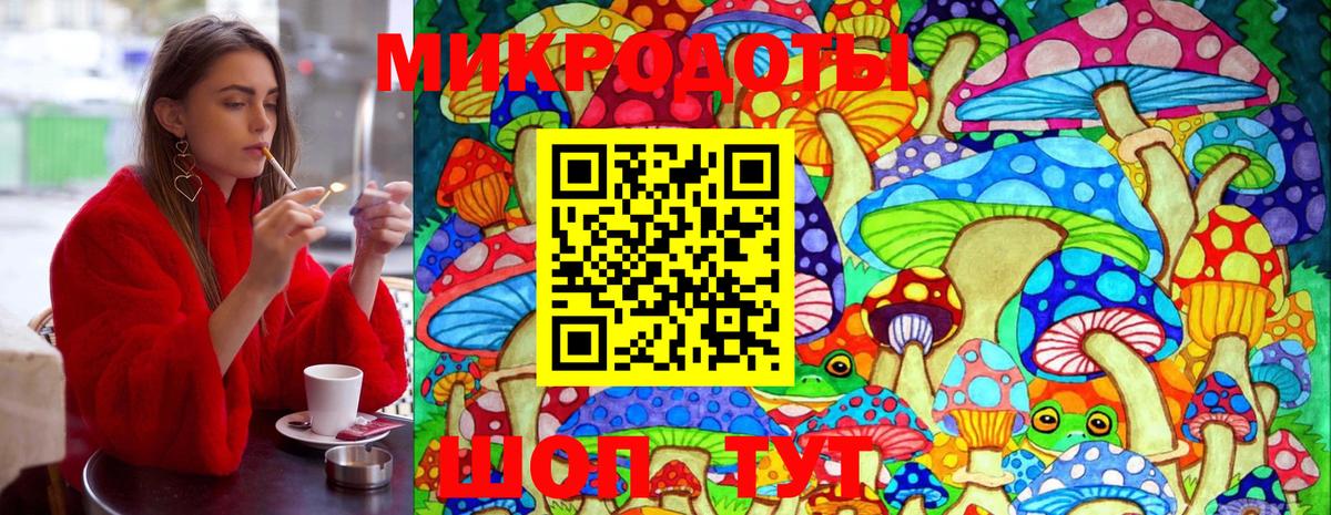 закладки  Вход с VPN  Минусинск  Псилоцибиновые грибы GOLDEN TEACHER 